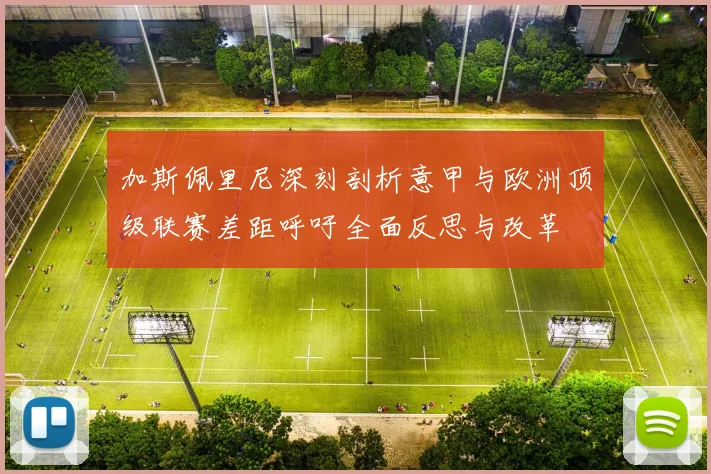 加斯佩里尼深刻剖析意甲与欧洲顶级联赛差距呼吁全面反思与改革