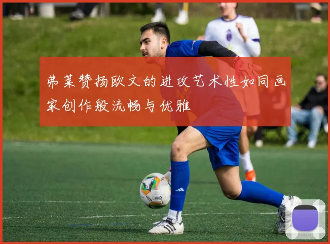 弗莱赞扬欧文的进攻艺术性如同画家创作般流畅与优雅