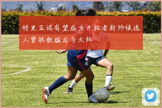 特里亚诺有望成为开拓者新帅候选人曾执教猛龙与太阳